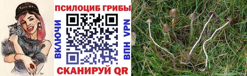 Галлюциногенные грибы прущие грибы  Ужур 